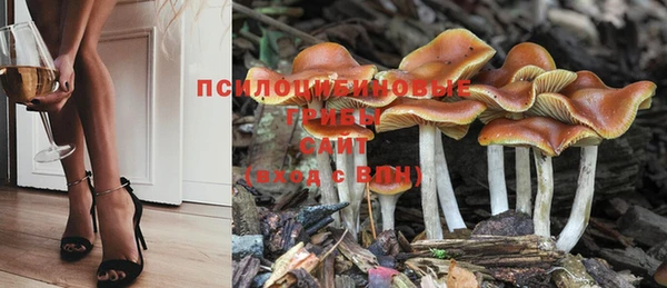 метамфетамин Липки