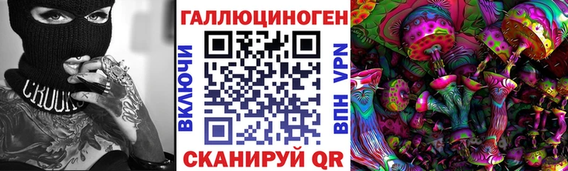наркота Туран Псилоцибиновые грибы MAGIC MUSHROOMS